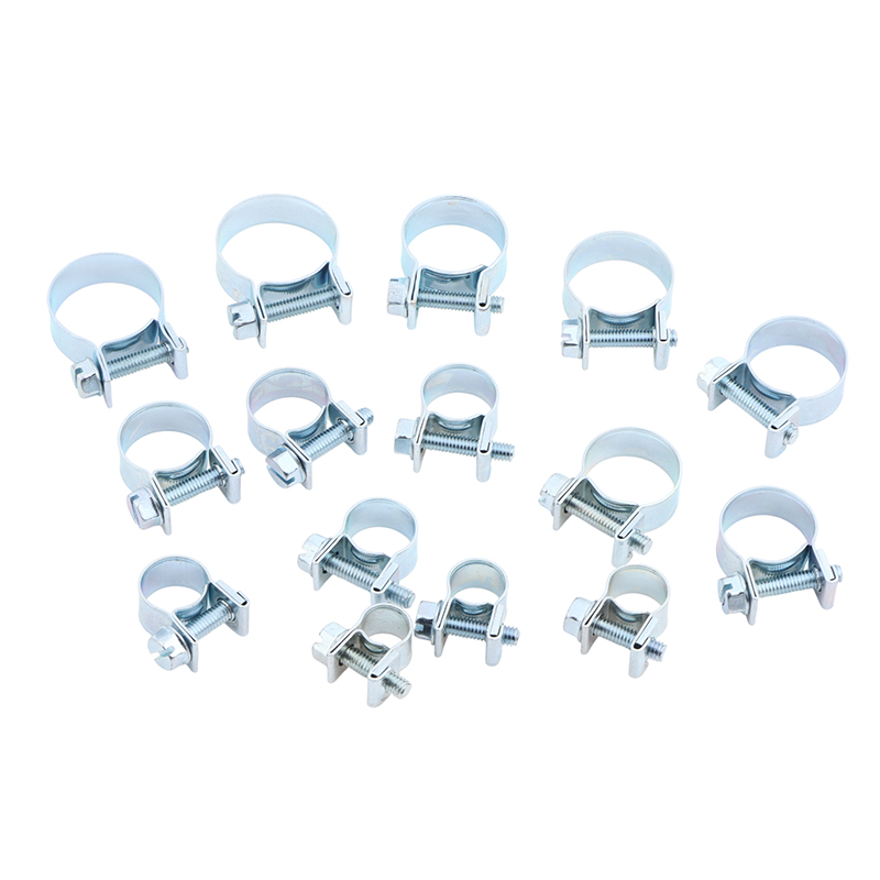 Jubileumslangklemmen 10-delige - Pipe Clamp Bar recensie en prijs